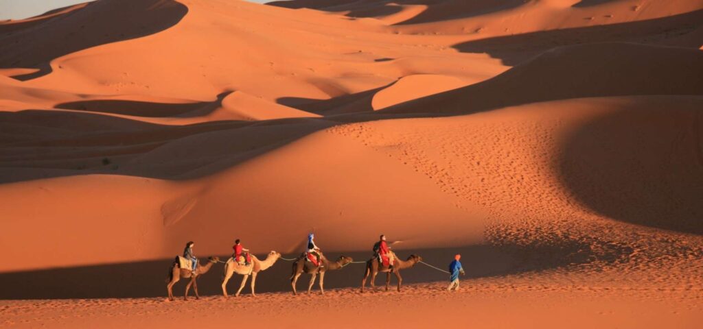 bandeau caravane de 4 dromadaires accompagné par un chamelier dans le désert