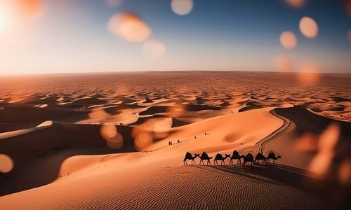 Caravane de dromadaires dans le désert