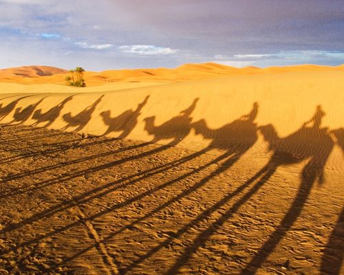 conditions générales