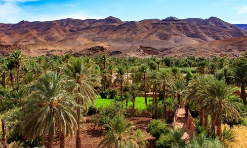 vallée du draa vue large
